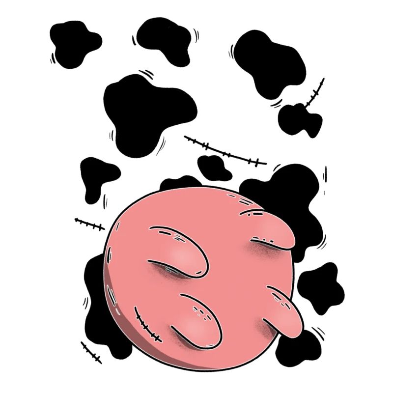 Conception du pis de vache