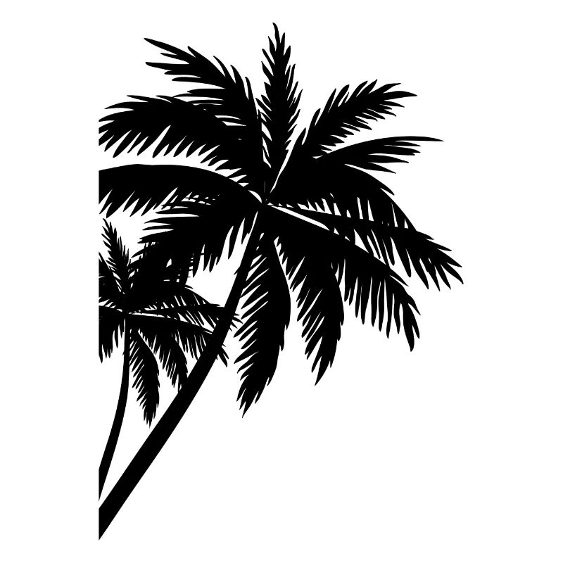 Palme Palm