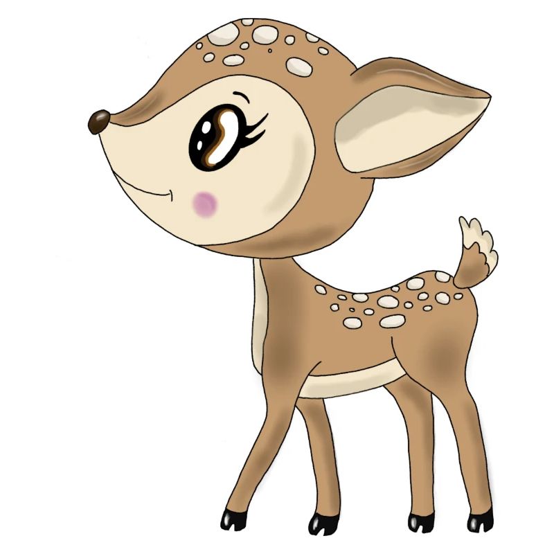 Roe deer