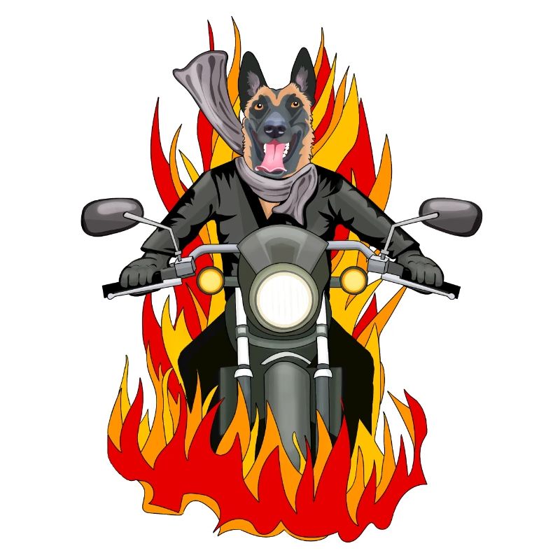Right Malinois fire