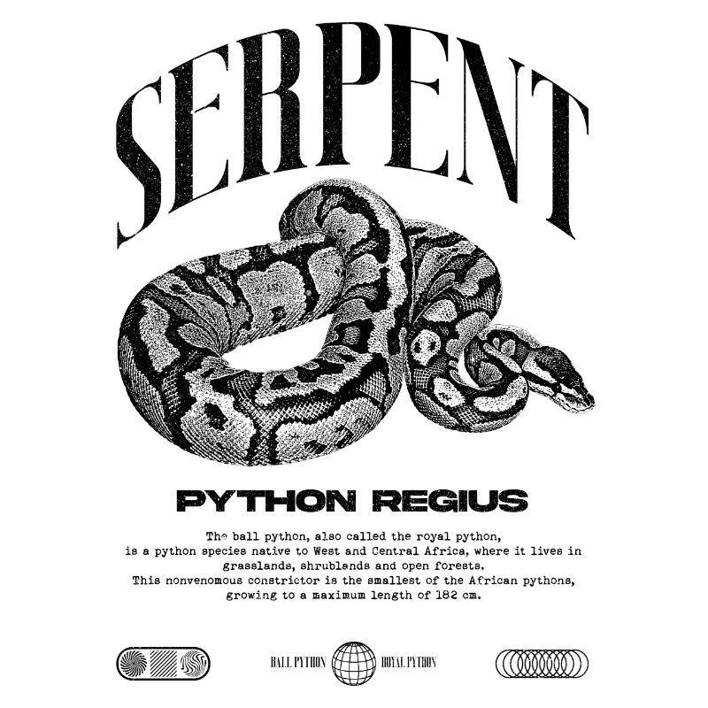 Ball Python Moderne Reptilienwärter Streetwear