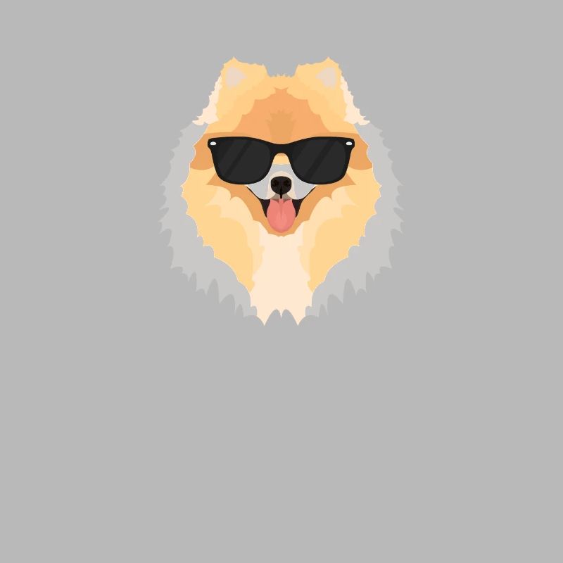 Mon spitz nain est le plus cool