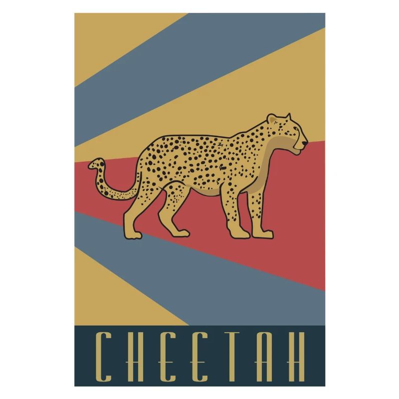 Guépard guépard prédateur