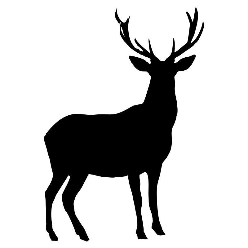 Hirsch