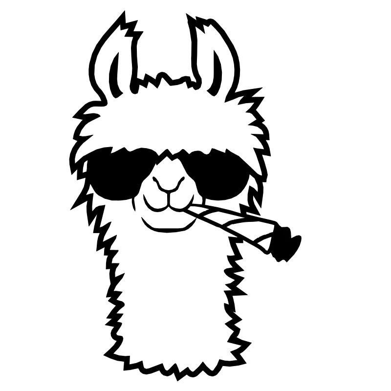 Lama With Joint