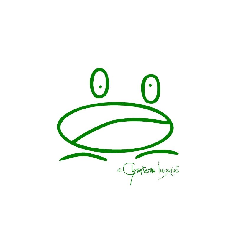 Froschmini © Chyropterum Innoxius