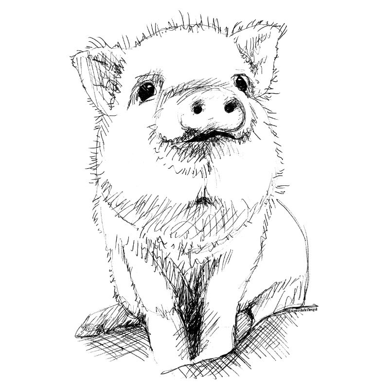 Ferkel