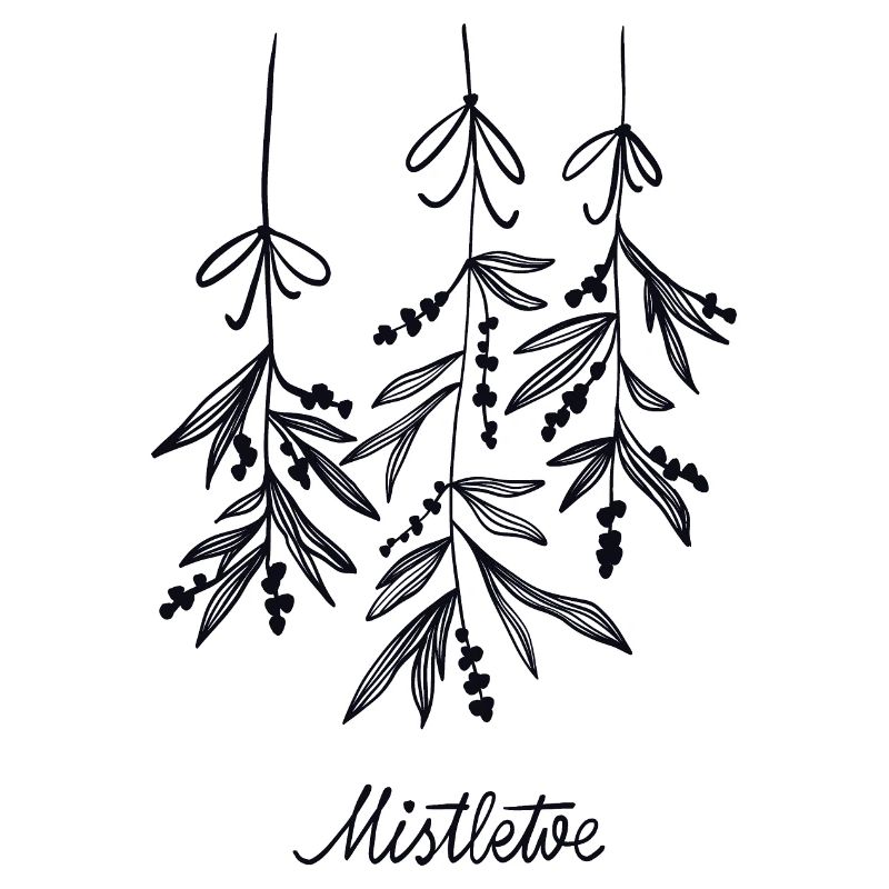 Mistletoe