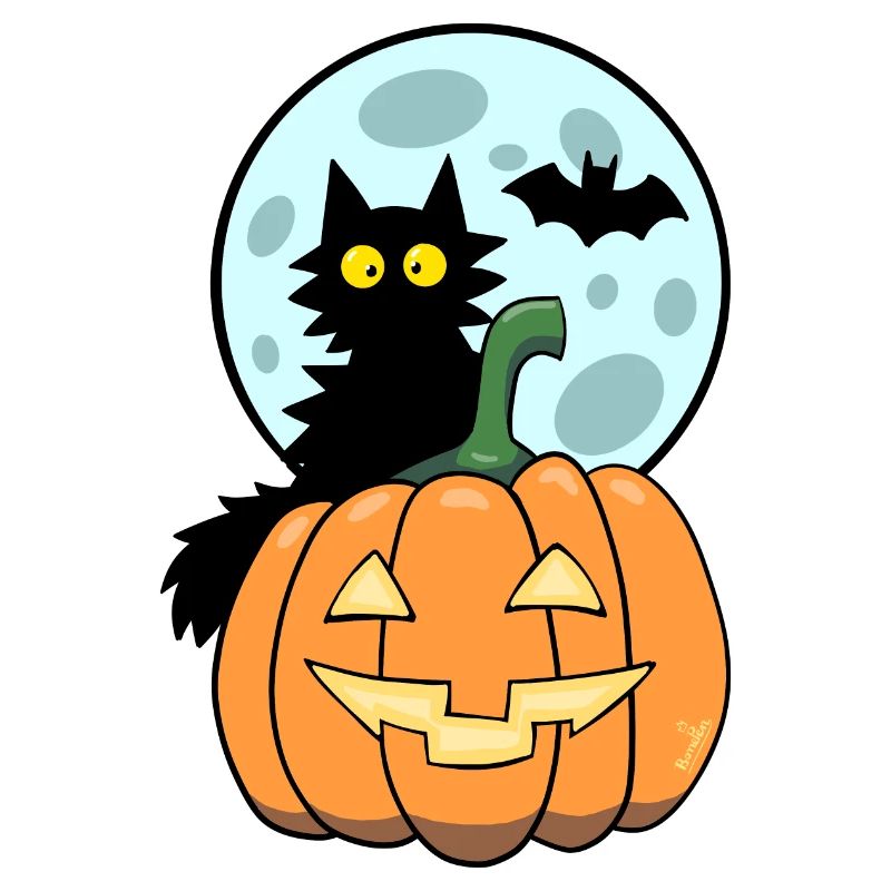 Cat on pumpkin