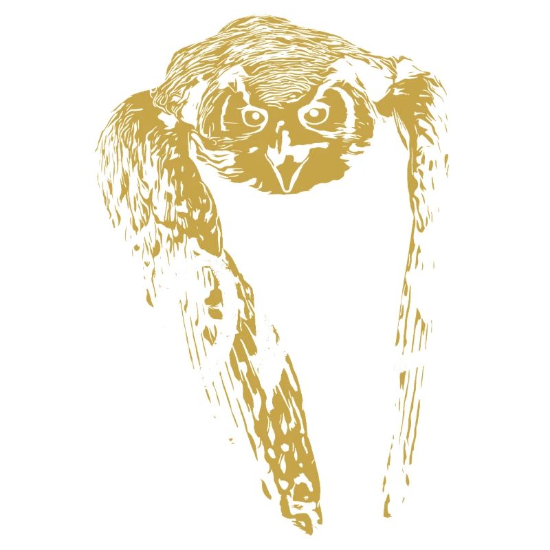 Modern Calligraphy Owl Illustration