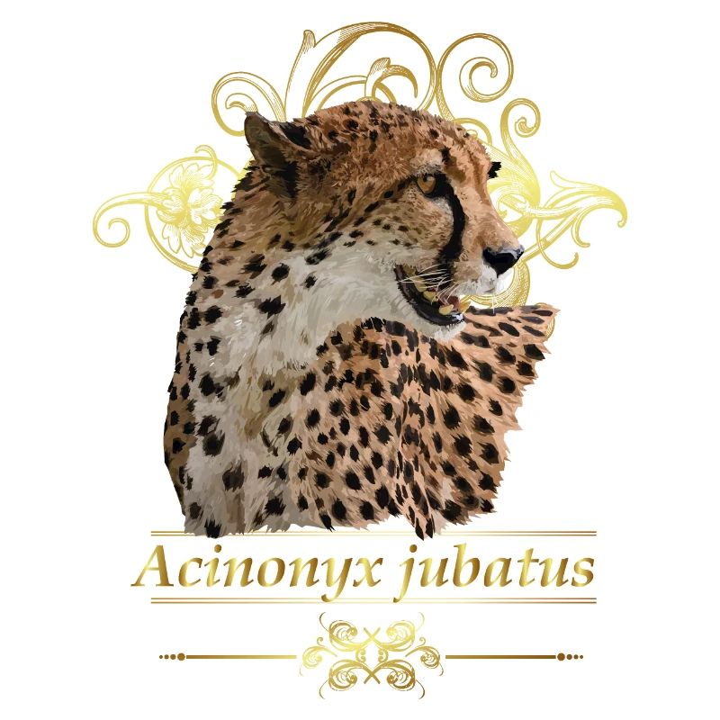 Gepard