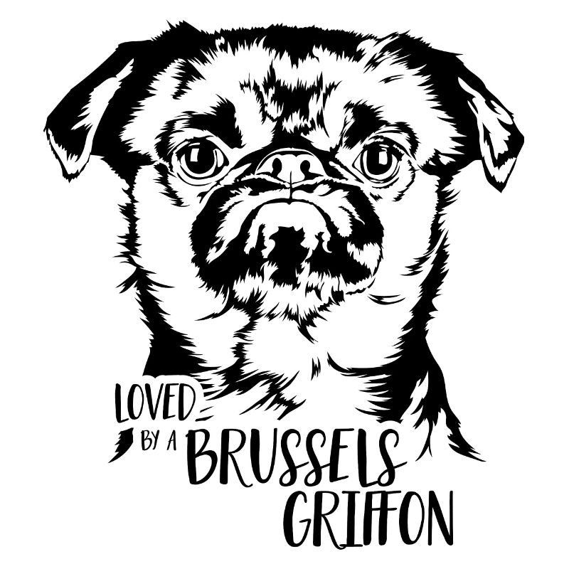 Loved by a Brussels Griffon Dogs Dwarf Griffon