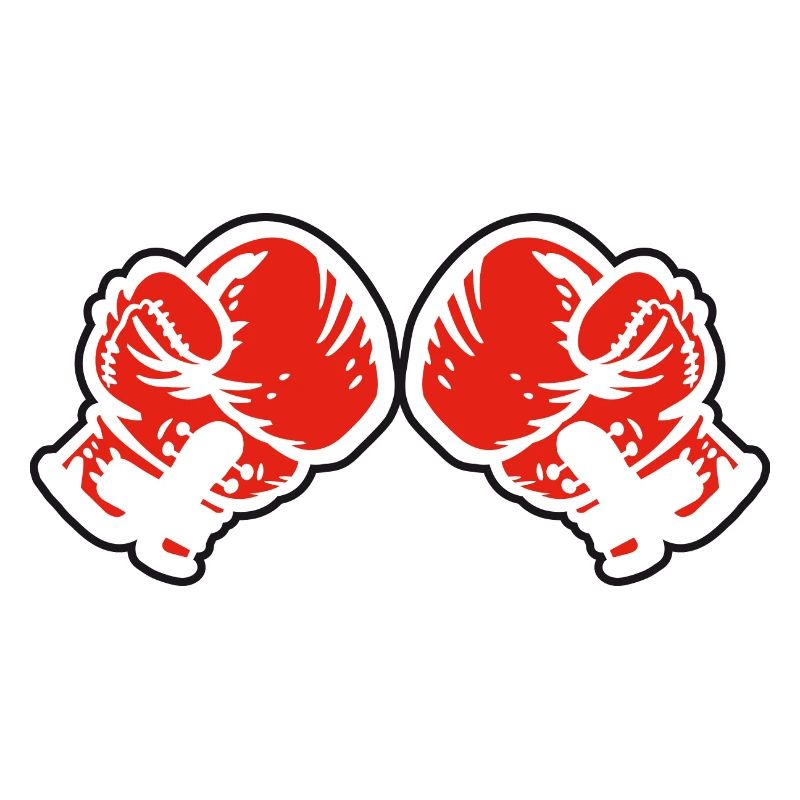 Boxhandschuhe
