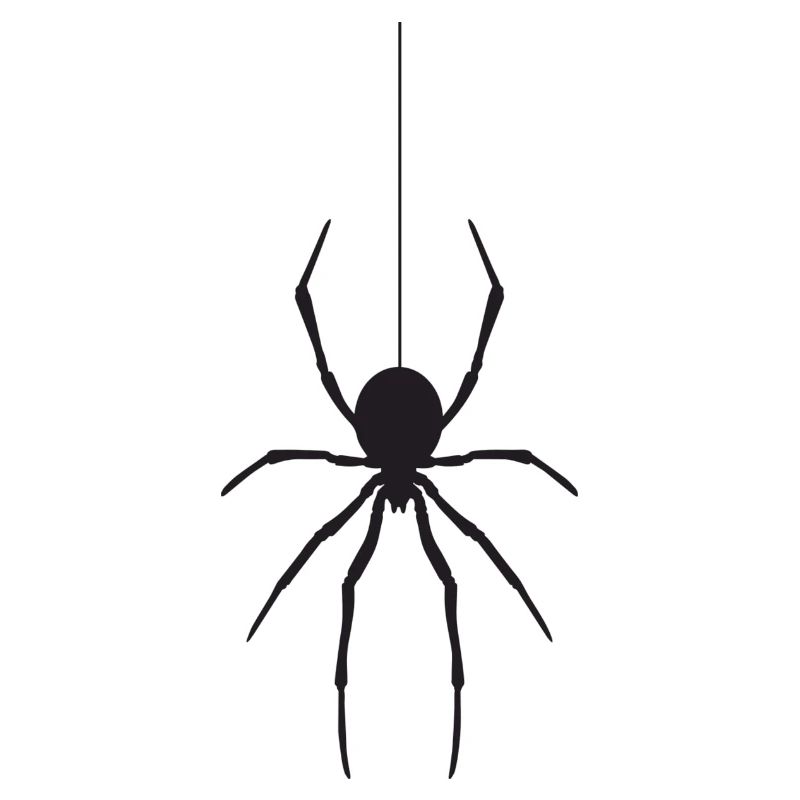 Spinne