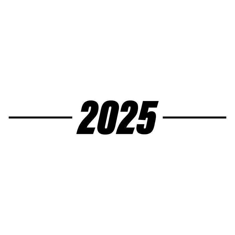 2025 year