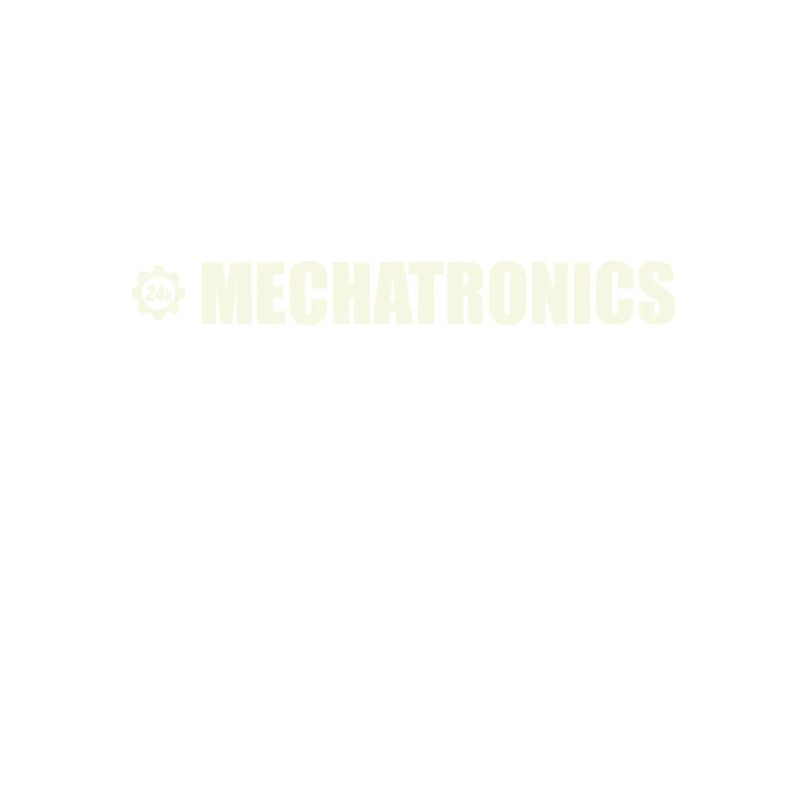 Mechatronics Engineer