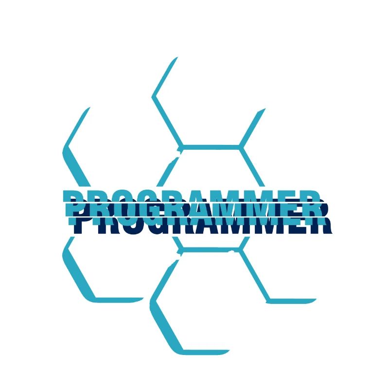 Computer programmer - programmer