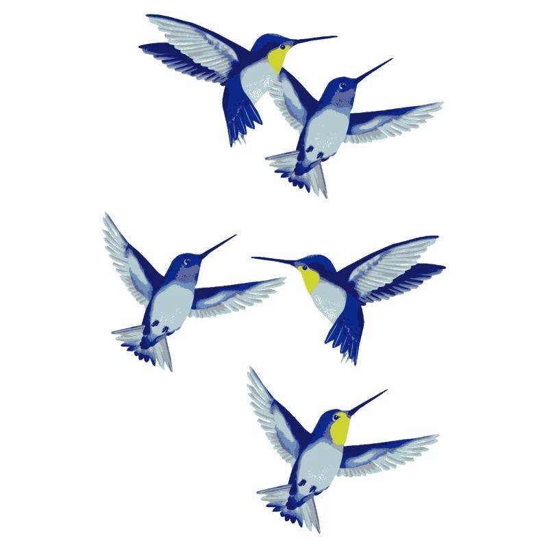 colibri