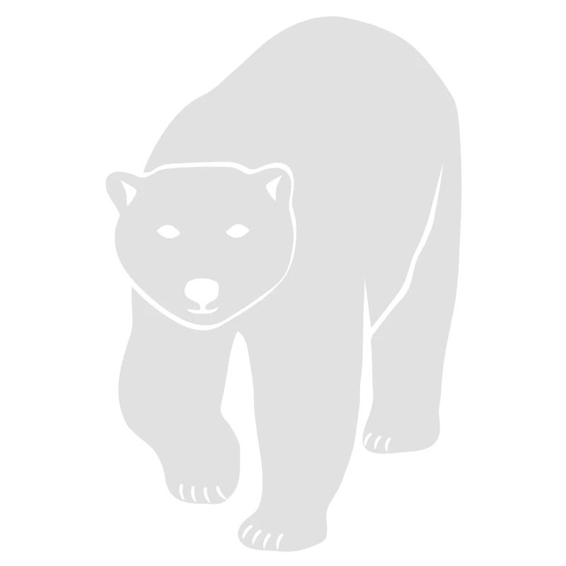 polar bear ice black white penguin knut climate