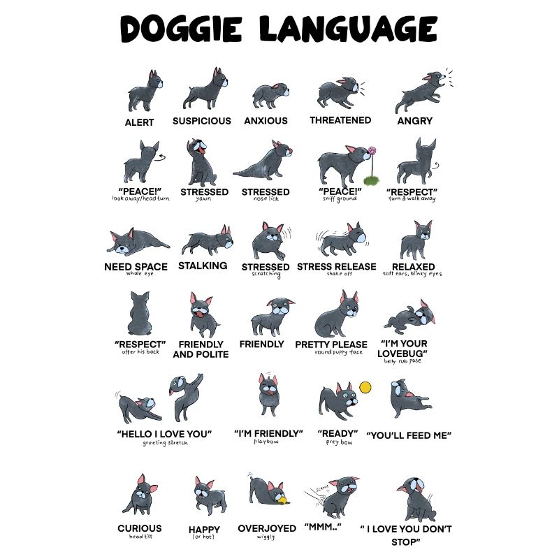 Langage canin