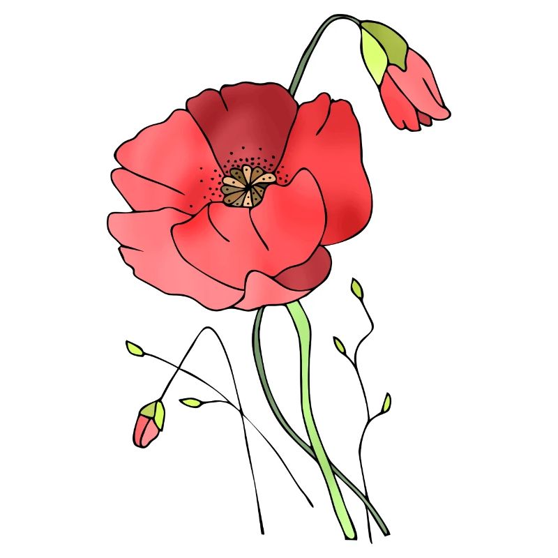 Fleur