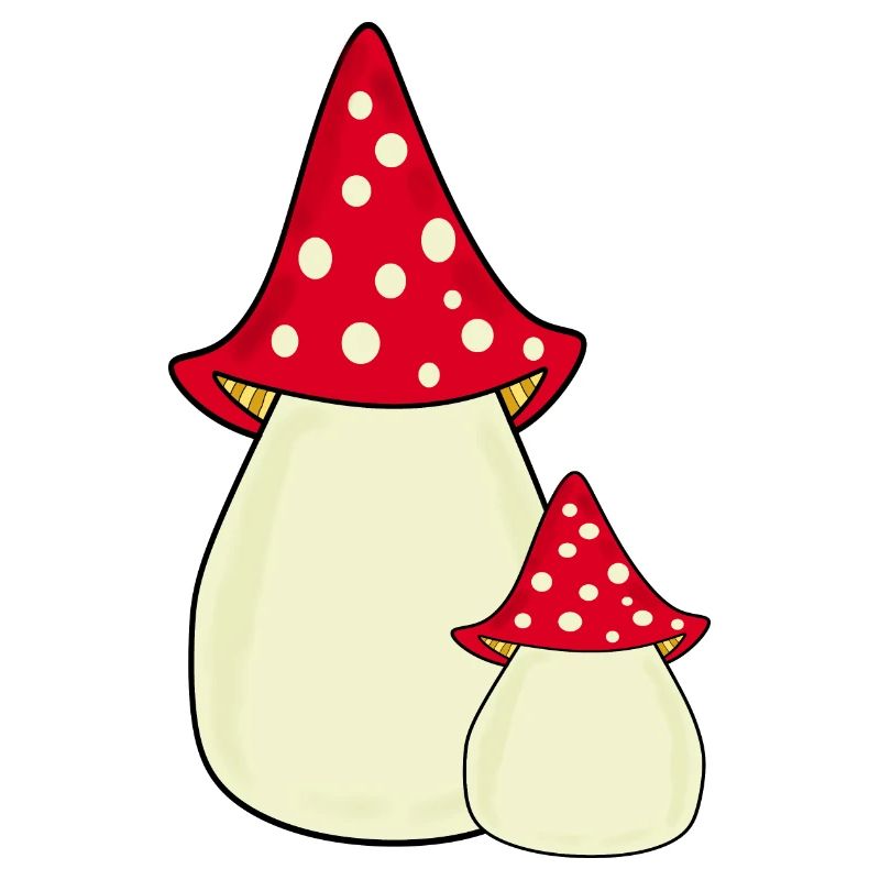 Toadstool, mushroom in the woods gift