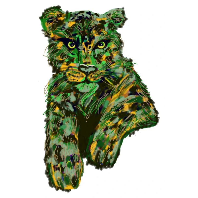 Leopard mal anders