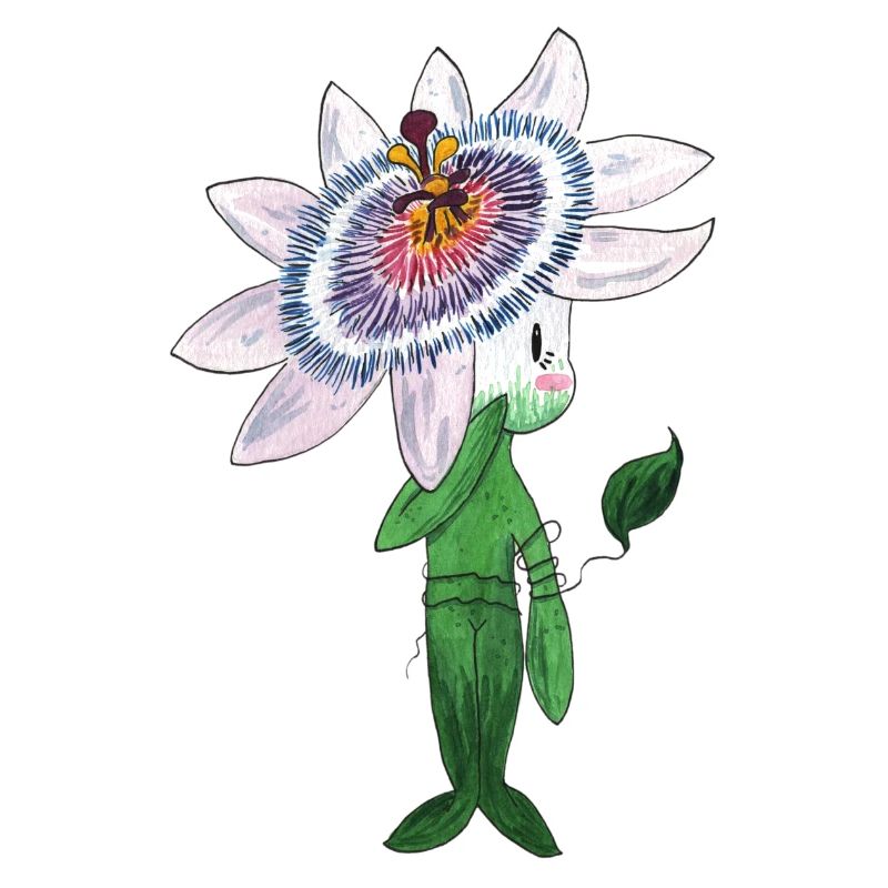Passiflora