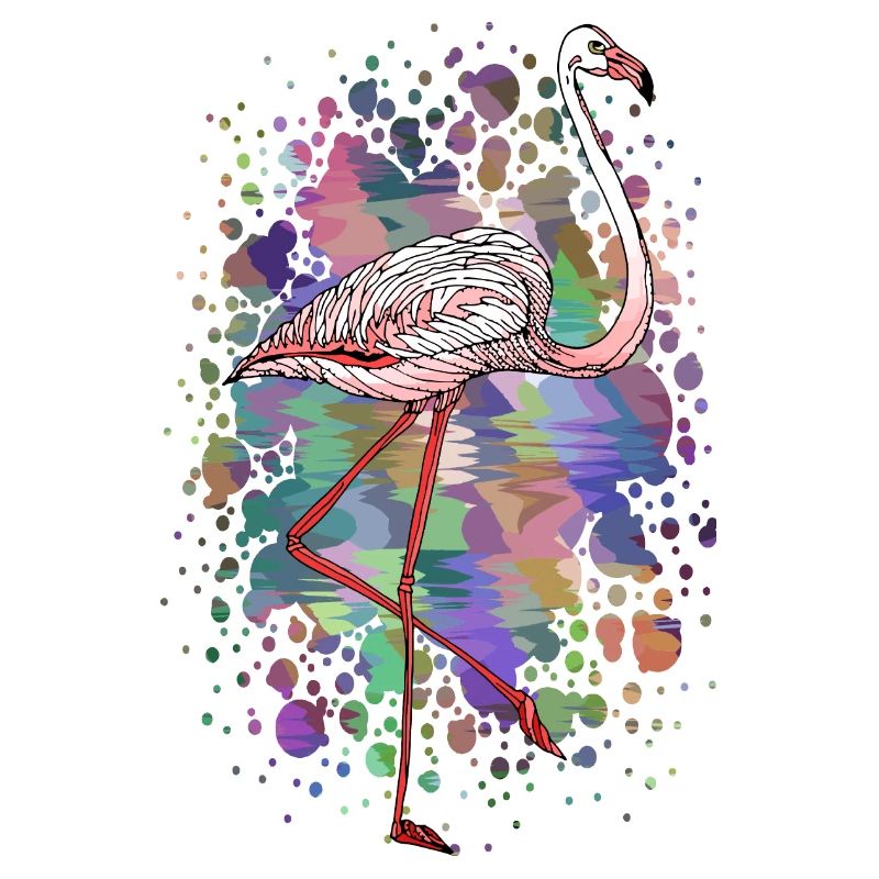 Oiseau coloré
