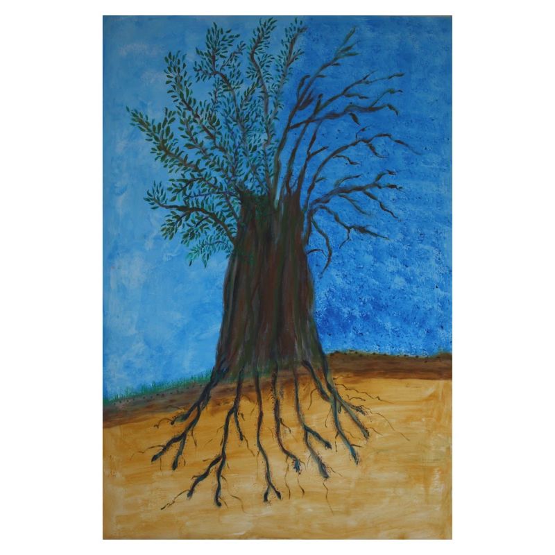 L'arbre dans la Classification de Raunkier