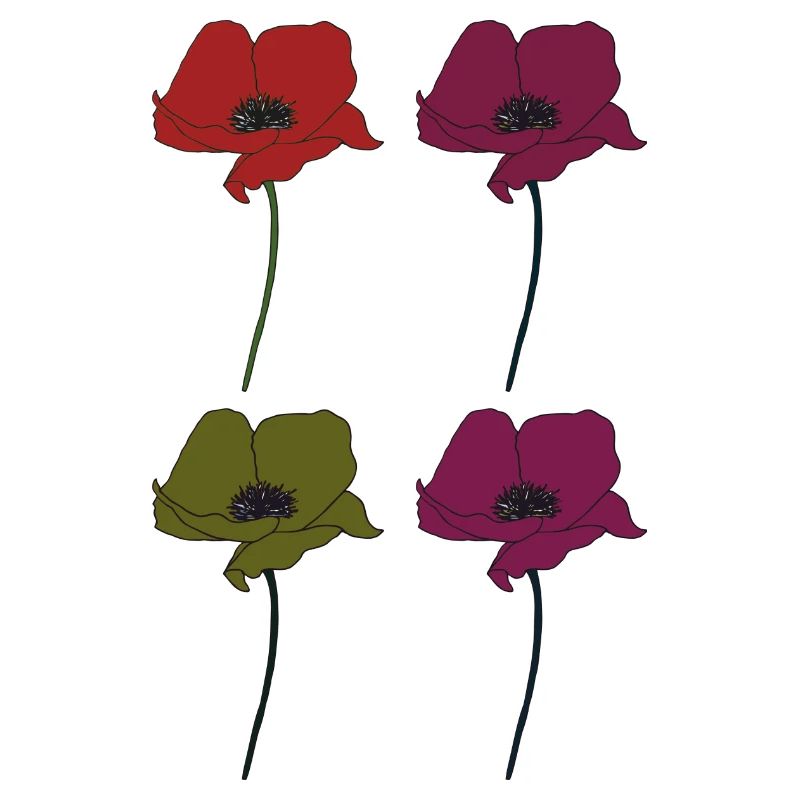 Coquelicot 4x