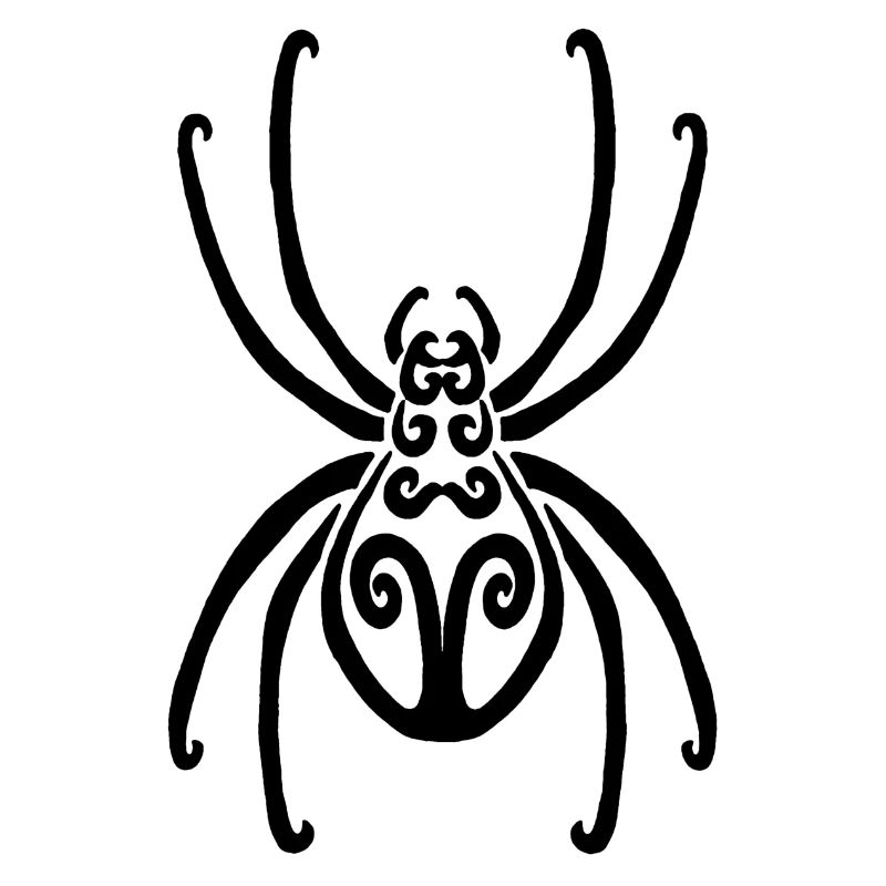 Araignée noire
