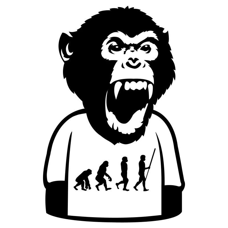 Affe Evolution
