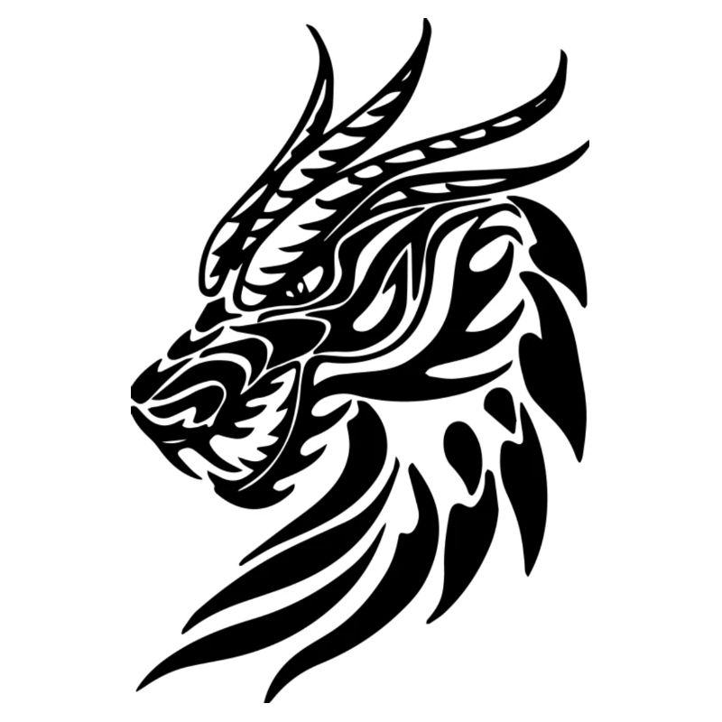 DRACHE
