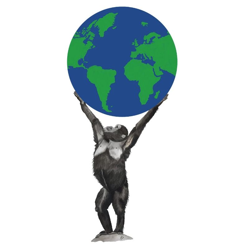 Singe Terre Globe Singe Amour Chimpanzé
