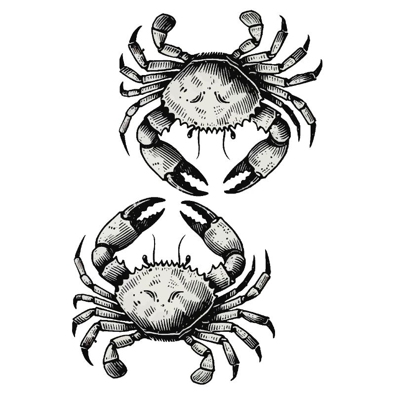 Crabe Crabe