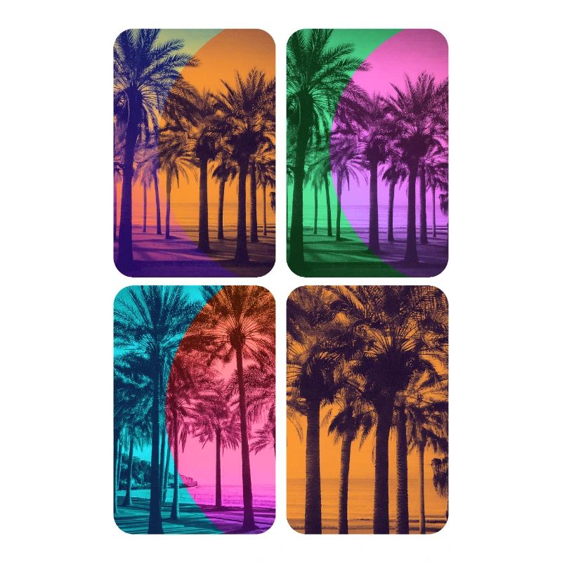 Plage plamiers couleurs coucher de soleil