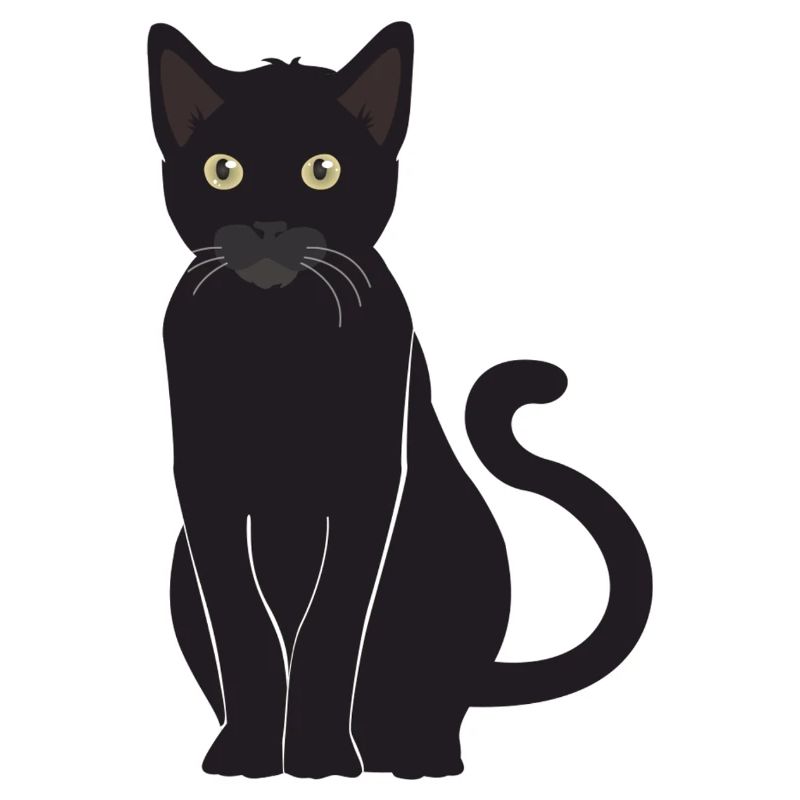 Schwarze Katze Glücksbringer wachsamer Blick