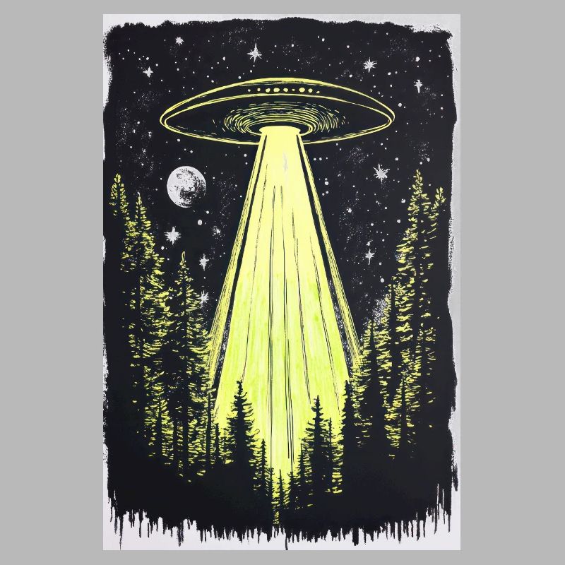 UFO in den Mitternachtskiefern