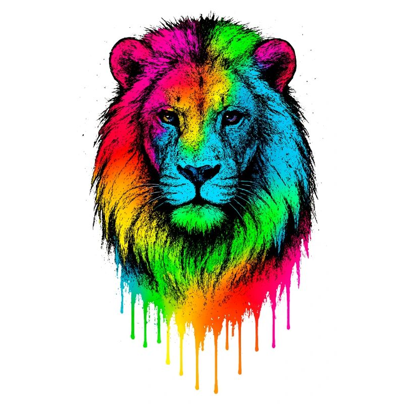 Regenbogenlöwe Farbschlieren