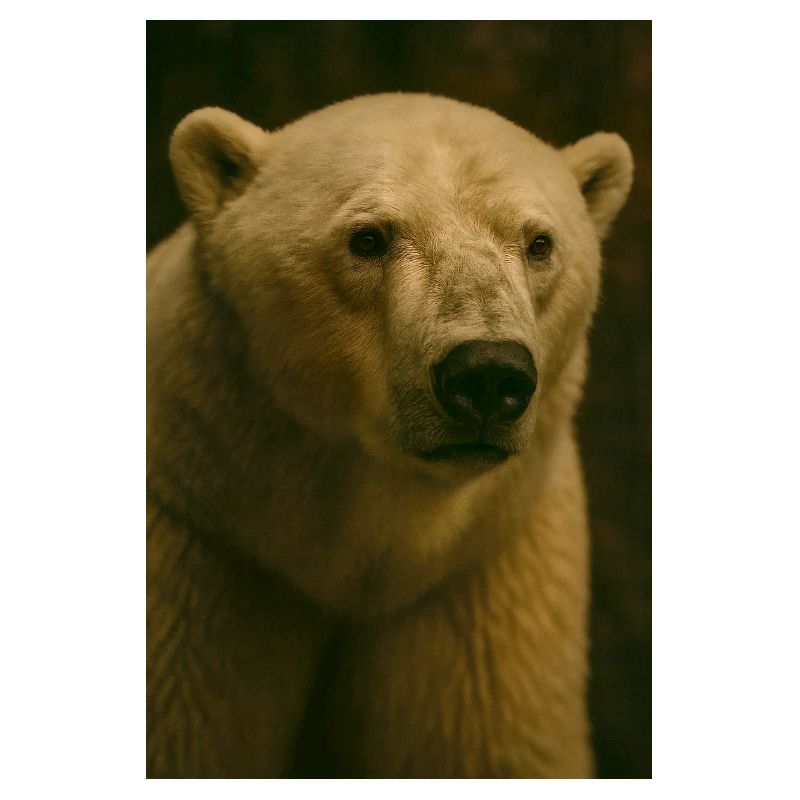 Tiere - Eisbär