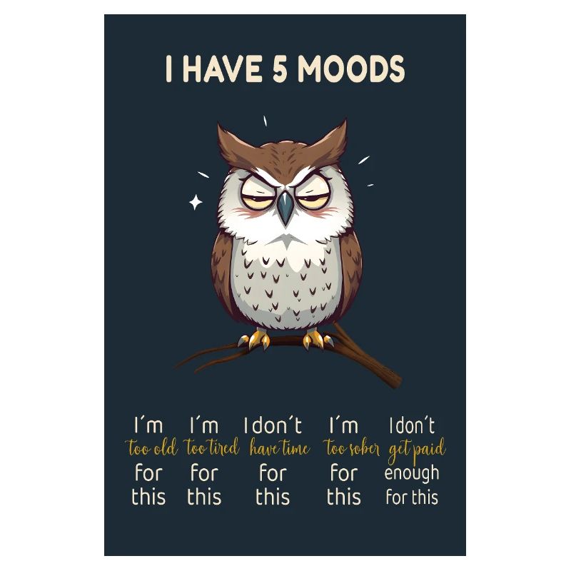 Grumpy Owl – I Have 5 Moods Funny Design