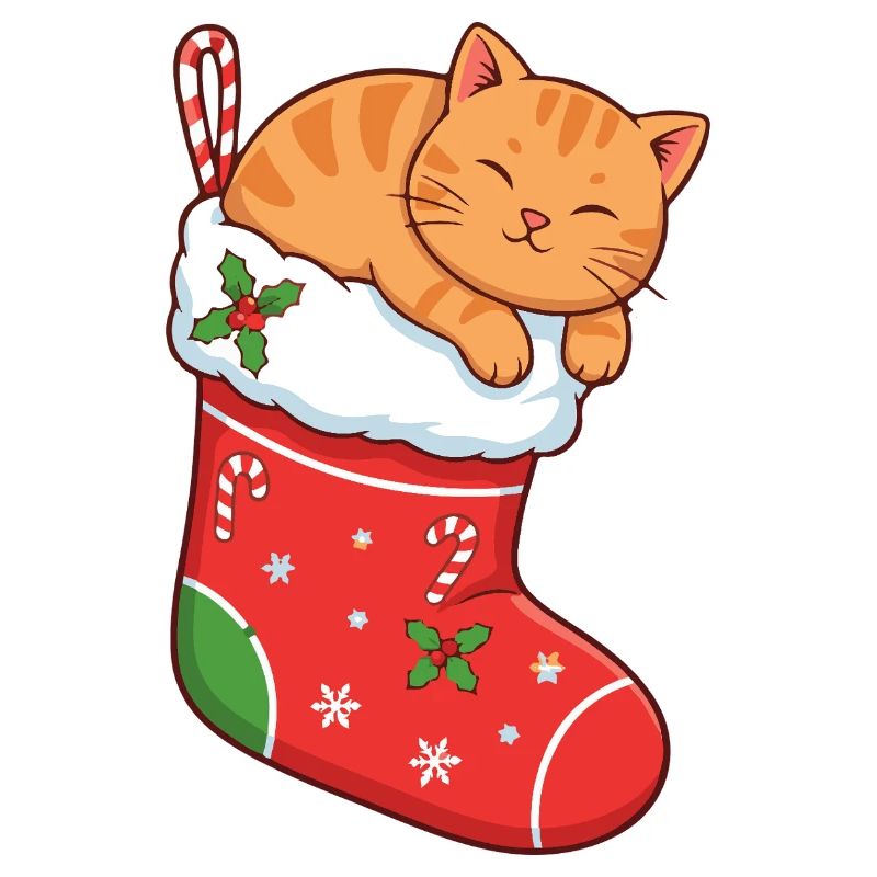 Cuddly cat in festive boots