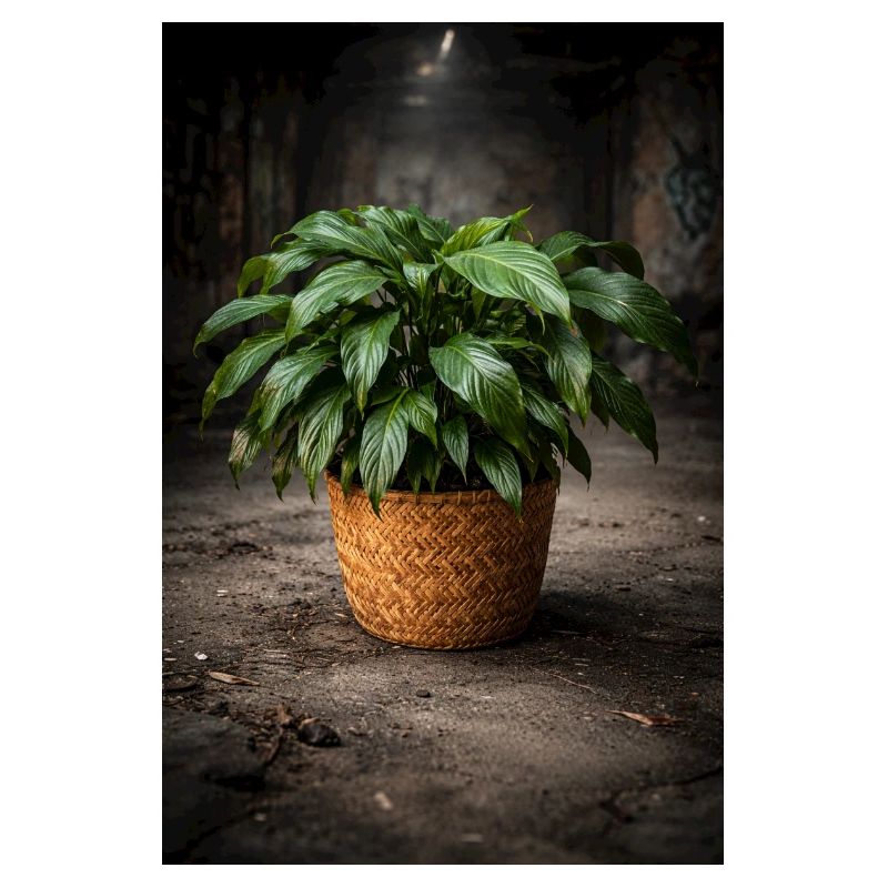 Panier Pot Vert VintageLook