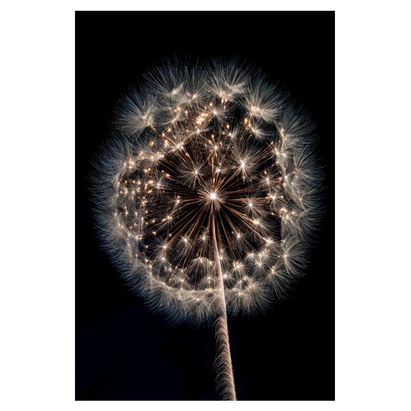 Luminous Dandelion Firework