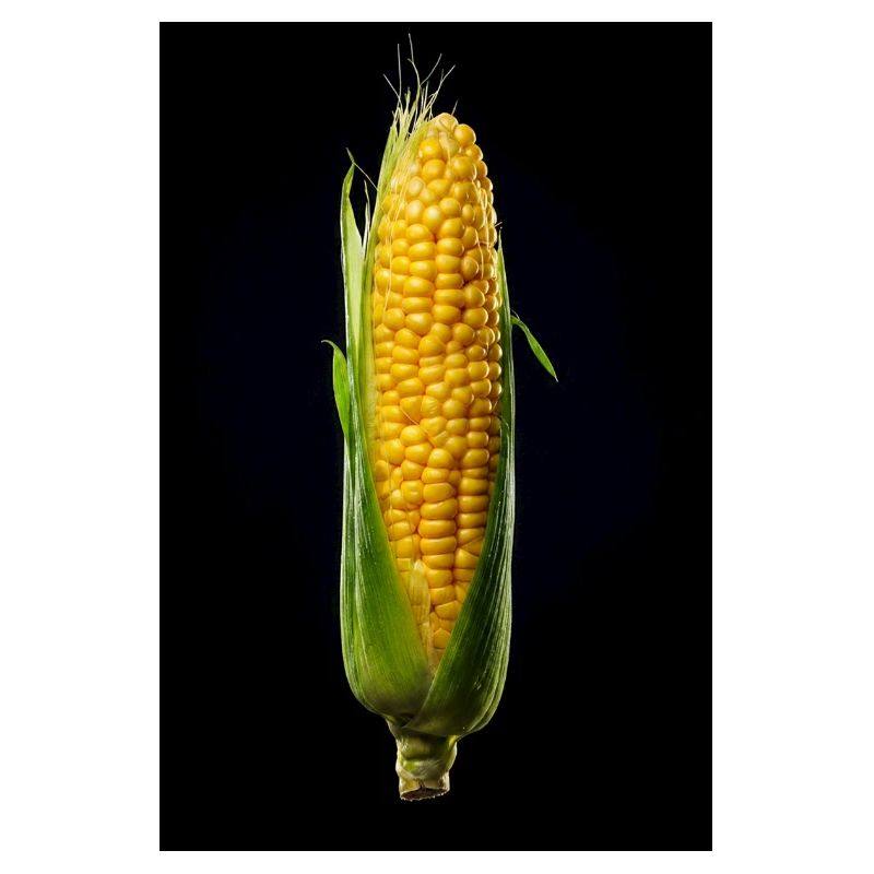 Goldkornernte