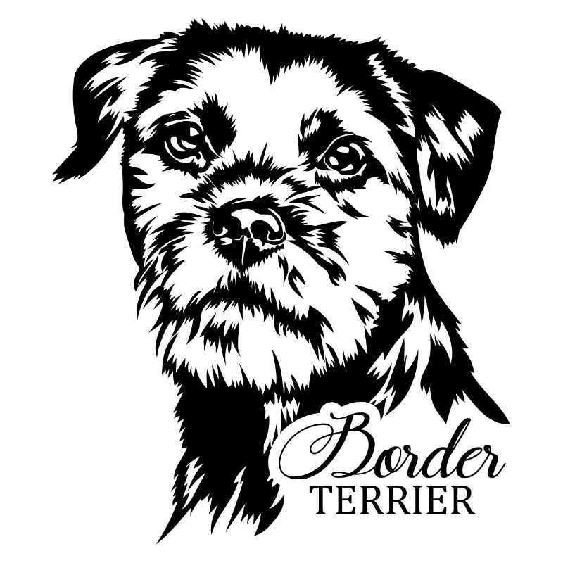 BORDER TERRIER Hundeportrait Hund Hunde Wilsigns