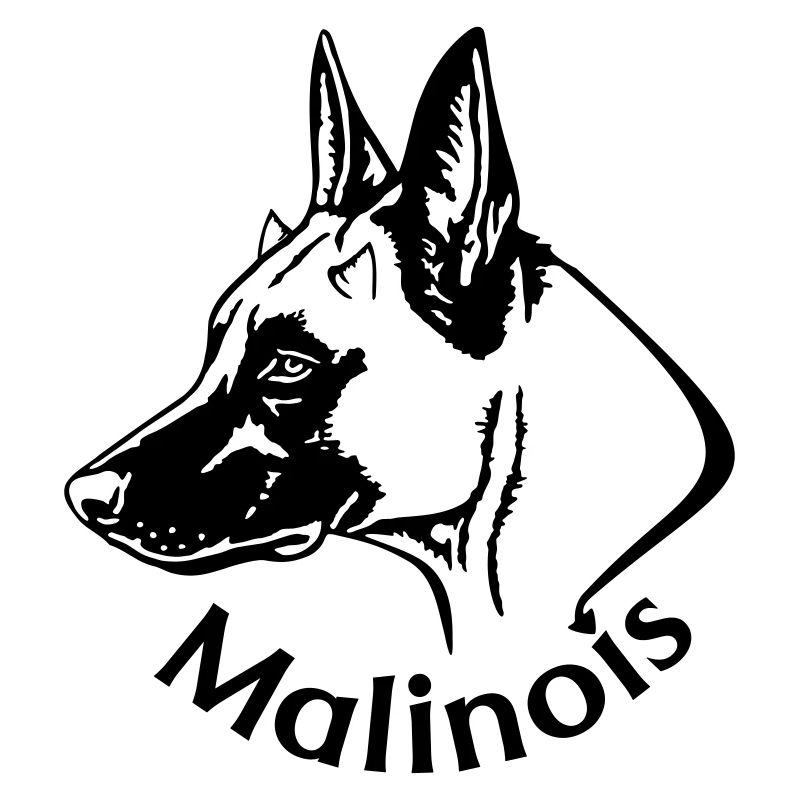 Diable malinois