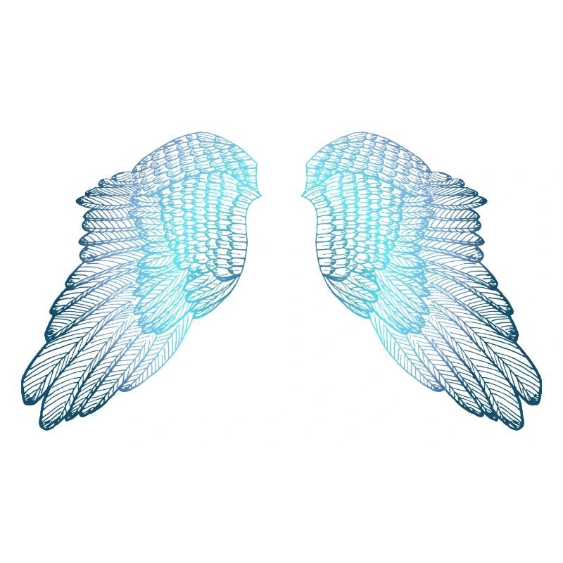 Ailes d'ange aux tons bleus