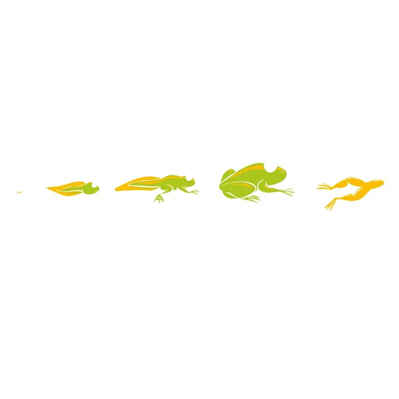 French frog evolution